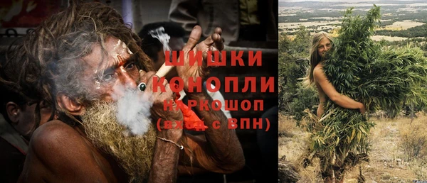 хмурый Абаза