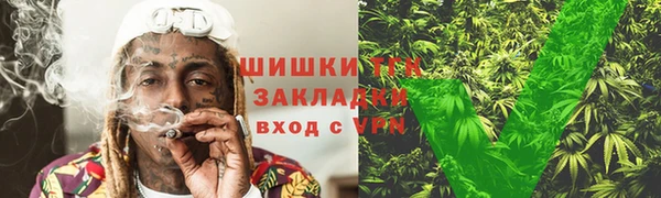 хмурый Абаза