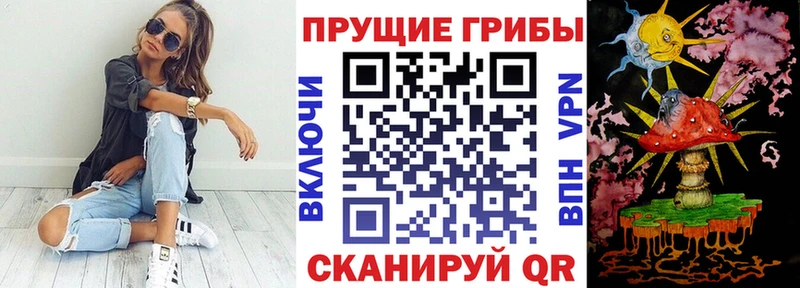 MEGA вход  Зуевка  Галлюциногенные грибы мицелий  закладки 